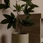 Gavas Cozy David Prodan Apartamento Cluj-Napoca