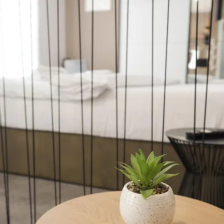 Gavas Cozy David Prodan