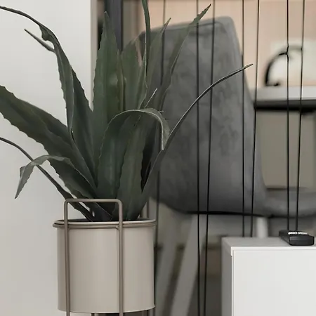 Gavas Cozy David Prodan * Cluj-Napoca