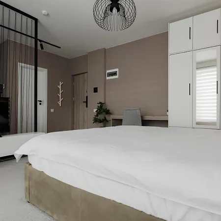 Gavas Cozy David Prodan *