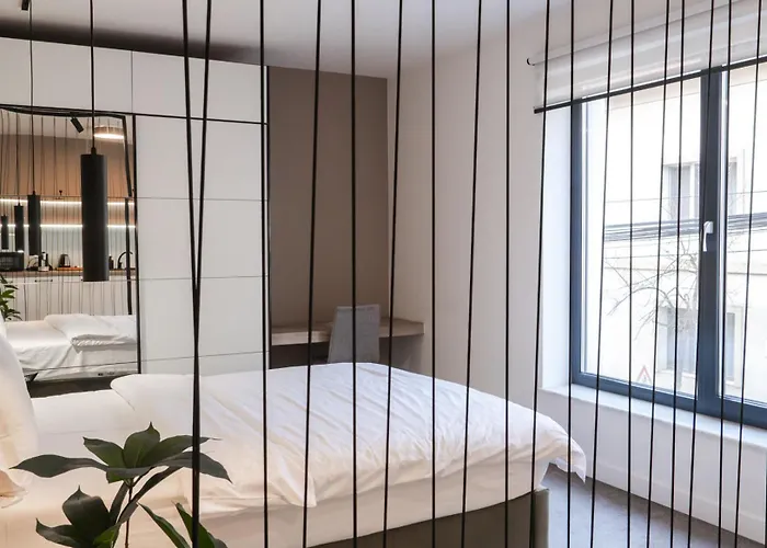 Gavas Cozy David Prodan * Kluž