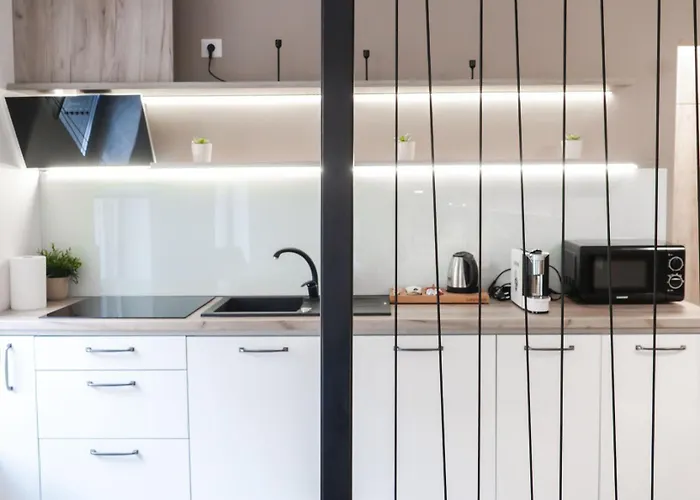 Gavas Cozy David Prodan Kluž