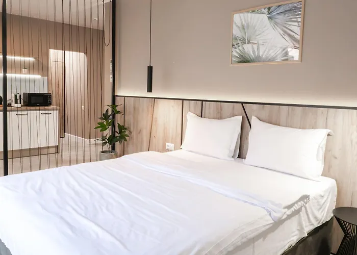 Gavas Cozy David Prodan Kluž