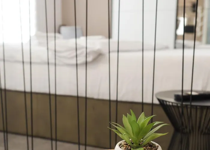 Gavas Cozy David Prodan