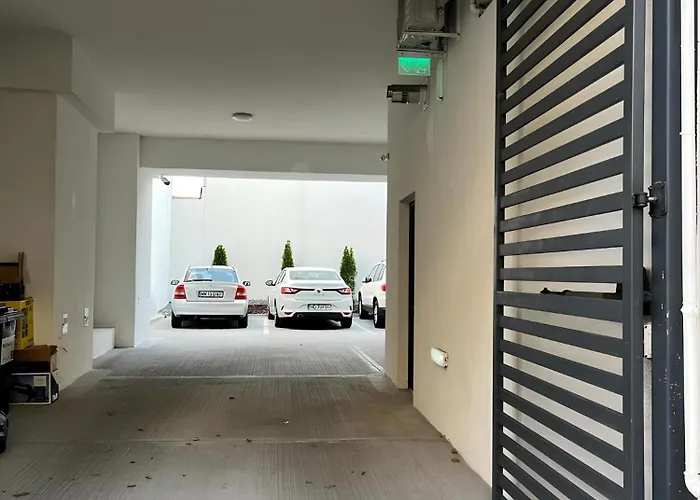 Gavas Cozy David Prodan * Kluž