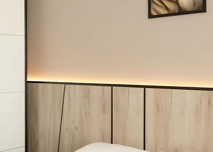 Gavas Cozy David Prodan