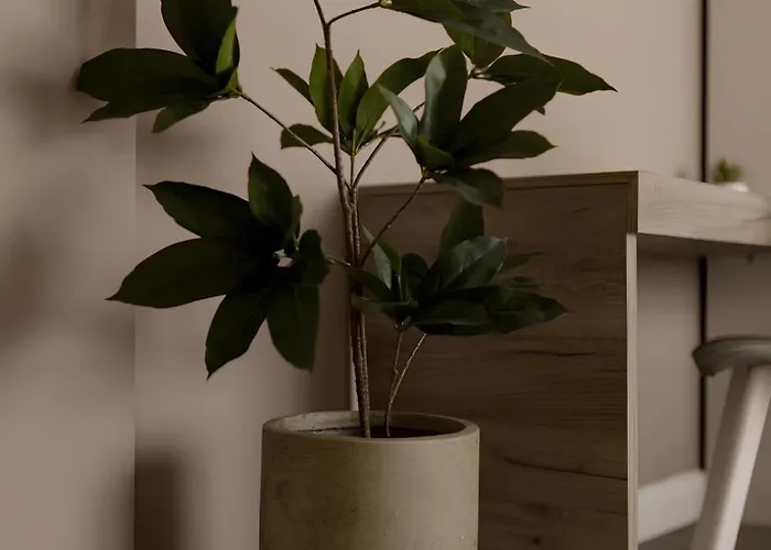 Gavas Cozy David Prodan Apartmán Kluž