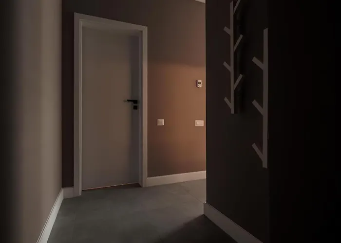 Gavas Cozy David Prodan *