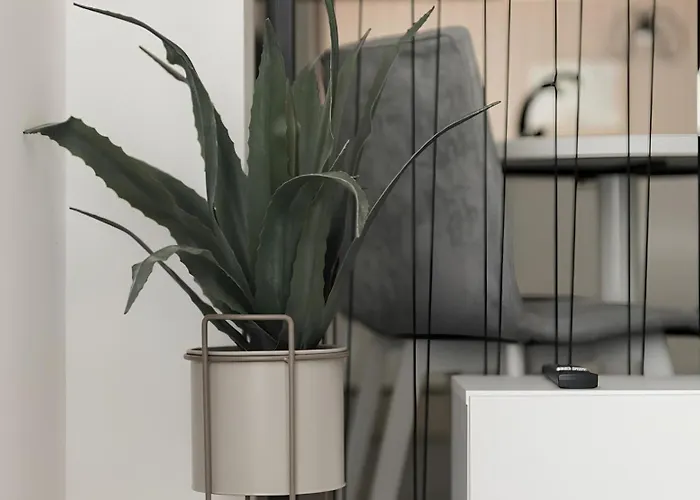 Gavas Cozy David Prodan * Kluž