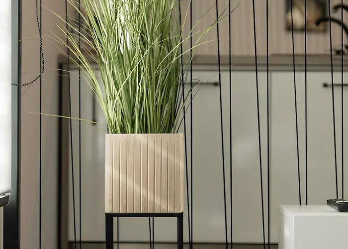 Gavas Cozy David Prodan * Kluž