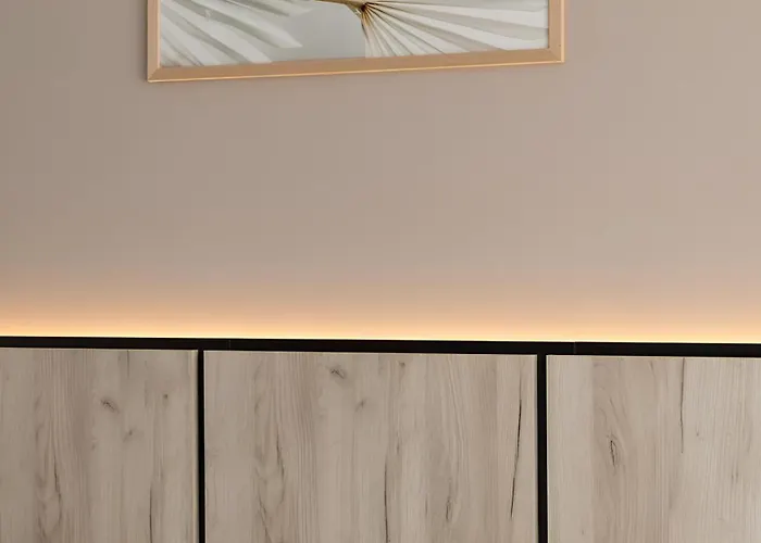 Gavas Cozy David Prodan *