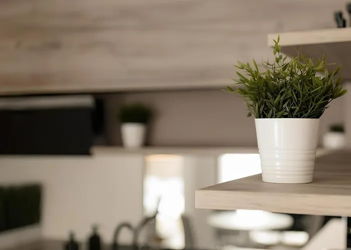 Gavas Cozy David Prodan * Kluž