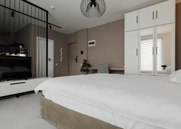 Gavas Cozy David Prodan *