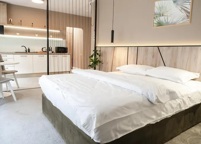 Gavas Cozy David Prodan *